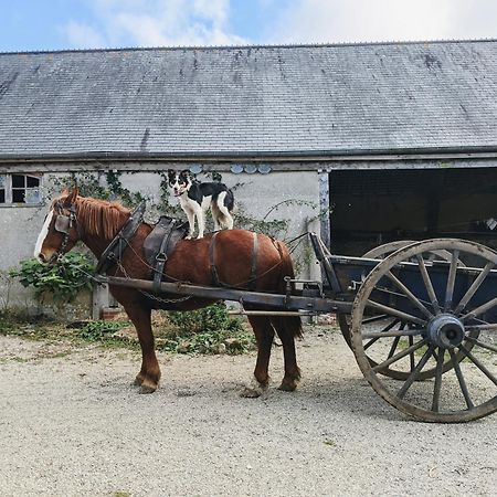 Chambre Des Pres A La Ferme De Franqueville Sainte-Marie-du-Mont  Exterior photo